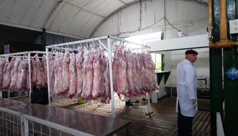 Los corderos frescos se venderán a mediados de diciembre en la Rural de Río Gallegos. 