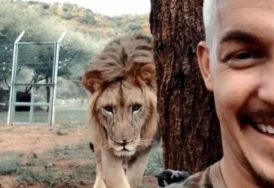 Captura de video del cuidador del zoológico junto al león.