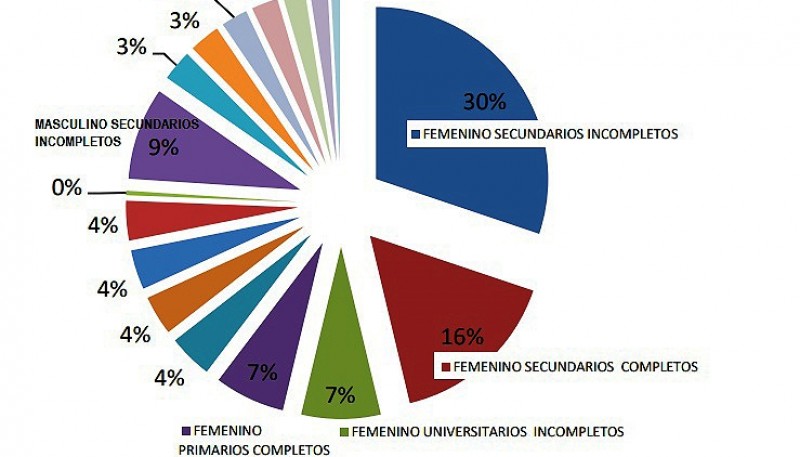 Cantidad de personas afectadas por nivel de instrucción. 