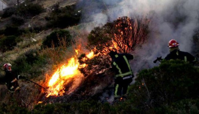 El fuego habría sido por los fuegos artificiales arrojados y cayeron al lugar. 