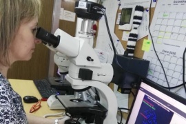 El Centro Materno Infantil recibió microscopio para estudios genéticos