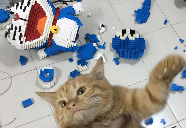 El gato destruyó accidentalmente la escultura hecha con piezas de LEGO. Foto: Facebook 