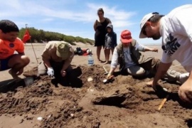 Buscaban caracoles y cangrejos en la playa y hallaron restos fósiles