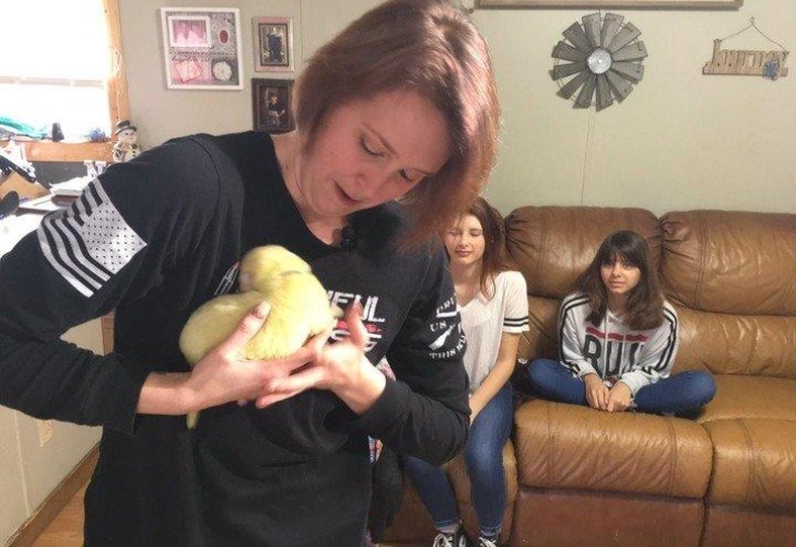 El perro verde junto a su familia. Foto: Gentileza The New York Post