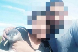 Acciones legales contra las personas que se fotografiaron con pingüinos