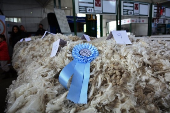 La Sociedad Rural Río Gallegos anunciará a los nuevos grandes campeones. (C. Robledo)