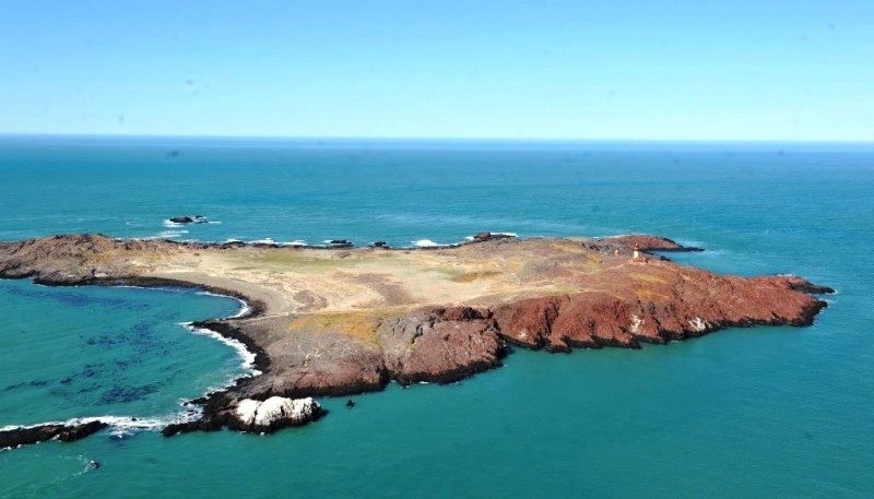 La Isla Pingüinos es visitada durante siete meses del año. 