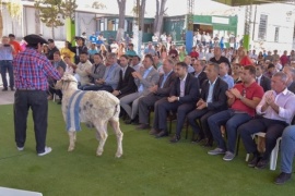 Tres días de la 82º Exposición Ganadera de la Sociedad Rural Valle del Chubut