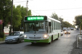 Por qué los colectivos de Maxia tienen el mensaje “QEPD tilingo”