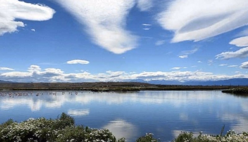 Reserva natural Laguna Nimez a orillas del Lago Argentino