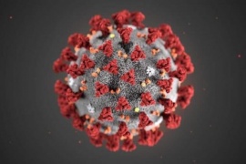 Científicos argentinos crearon el kit para detectar el coronavirus