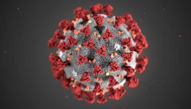 Vista microscópica del coronavirus