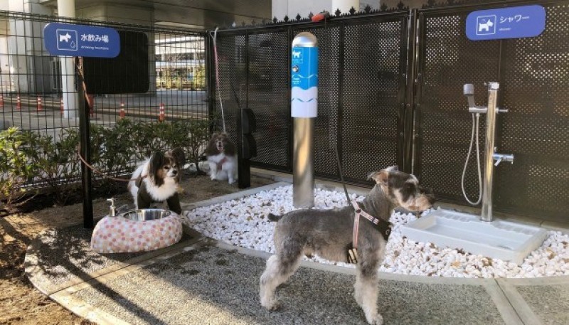 Aeropuerto inauguró baños para perros 