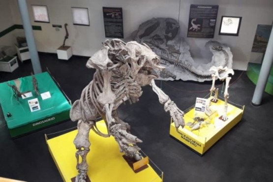 Luego del vandalismo, reabrió la Sala de Paleontología del Museo “Padre Jesús Molina