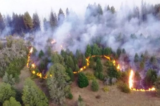 Brigadistas controlaron incendio en la zona de Lago Puelo