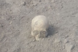 Encontraron restos óseos en una chacra