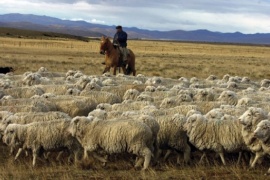 China confirmó la apertura de su mercado a la carne ovina de la Patagonia