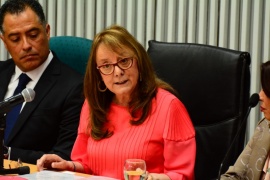 Alicia Kirchner inaugurará las sesiones ordinarias de Diputados