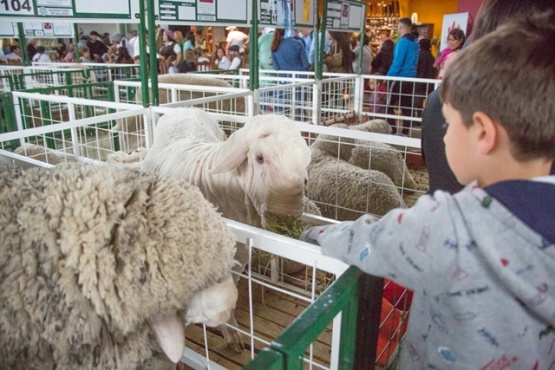 Ayer fue el último día de la feria más importante de la Patagonia. (Foto: C.G)