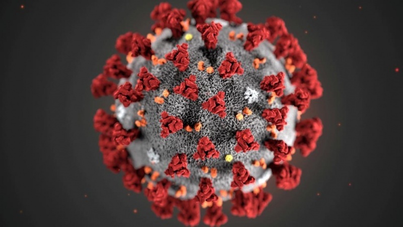 El coronavirus fue declarado como pandemia. 