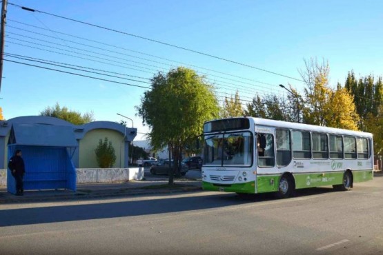 Colectivo de Maxia (foto archivo).