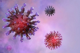 Coronavirus en Argentina: 1.049 fallecidos y 44.941 personas contagiadas