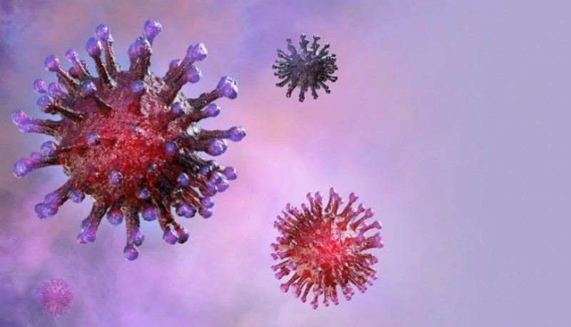 Coronavirus: Confirmaron 5.062 casos en las últimas 24 horas