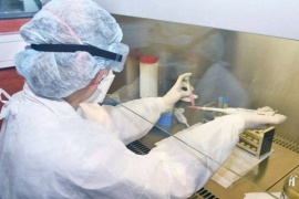 Confirmaron 88 nuevos casos de coronavirus en la Argentina