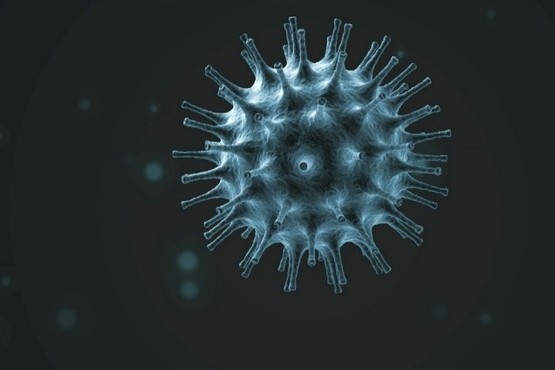 Ya son 28 víctimas por coronavirus en Argentina