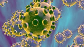 Murió otra persona por Coronavirus y ya son 35 en el país
