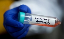 Científicos argentinos lograron secuenciar el coronavirus