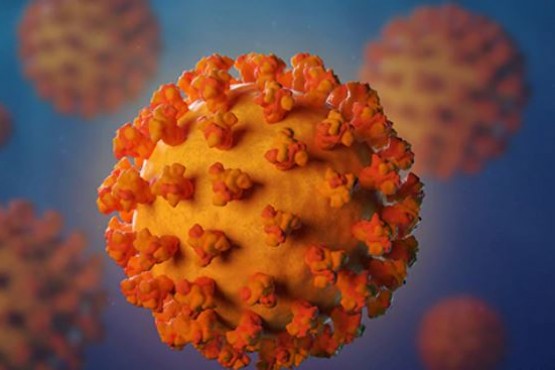 Confirman el segundo caso de Coronavirus en la Provincia 