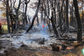 La Brigada del CAP de El Chaltén intervino en dos importantes incendios