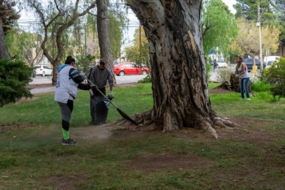 Desinfectan espacios verdes. 