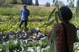 Precauciones y recomendaciones al sector agrícola del Chubut