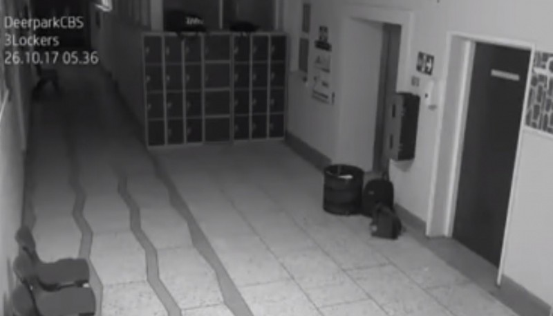 Captan imágenes de un fantasma dentro de una escuela