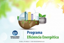 Se entregaron los primeros 30 diagnósticos del Programa de Eficiencia Energética