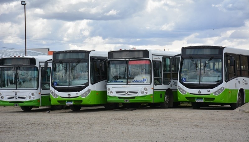 Colectivos de Maxia.