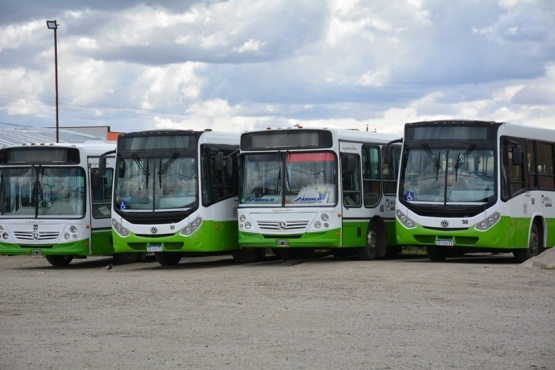 Colectivos de Maxia.