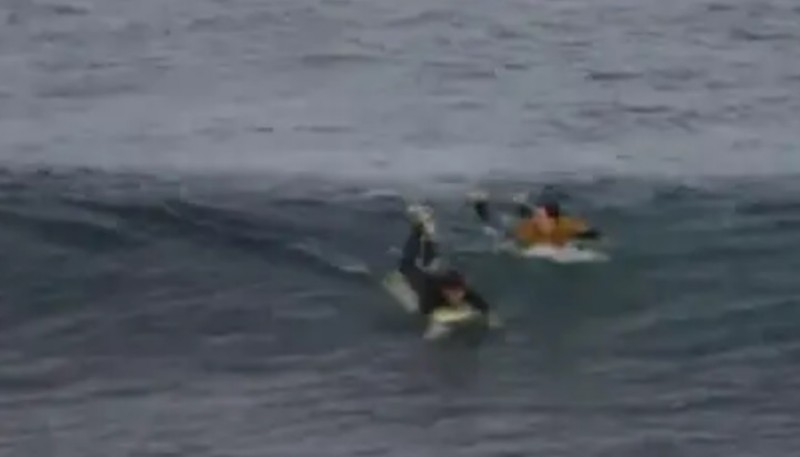 El surfista al momento que es atacado. 
