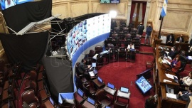 El Senado aprobó el protocolo para sesionar de forma virtual y debate los DNU