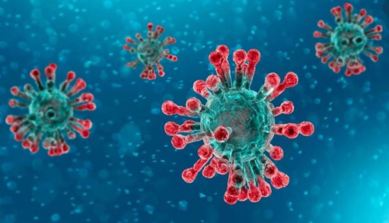 El coronavirus podría convertirse en un virus endémico