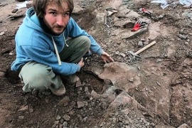 Santa Cruz: Encuentran restos de un dinosaurio de 70 millones de años