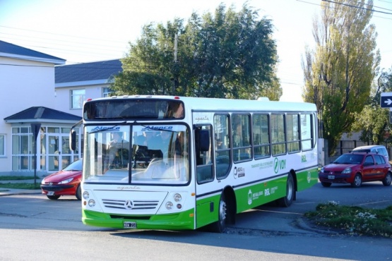 Colectivo de Maxia SRL (foto archivo).