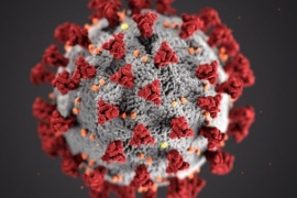 Chubut hace seis semanas no registra nuevos casos de Coronavirus