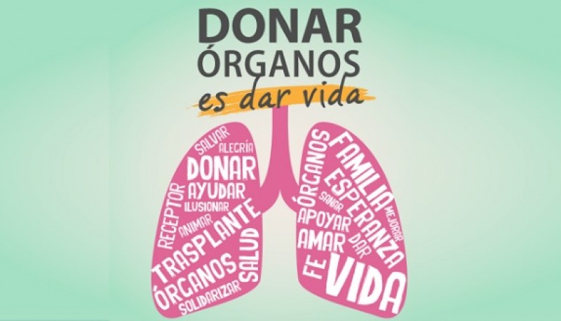 Donación de órganos. 