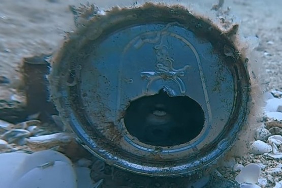 Hallaron una lata en el fondo del mar con una criatura adentro