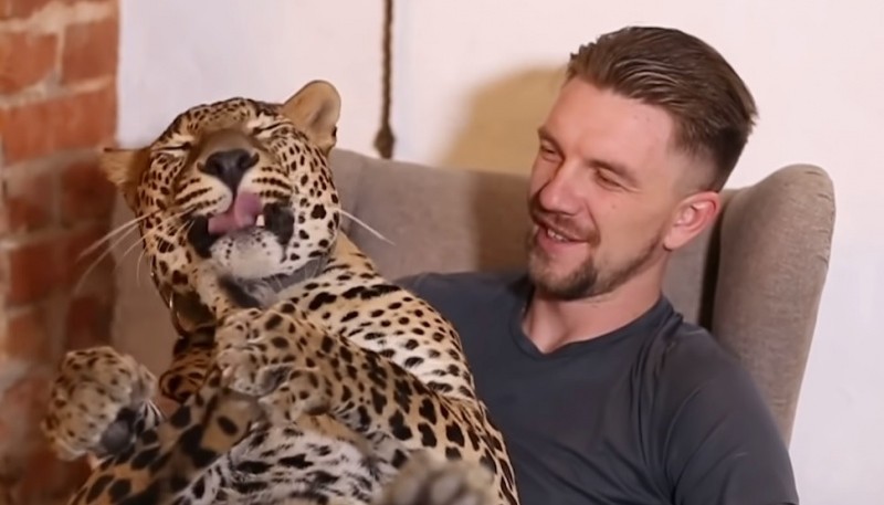 La conmovedora decisión que tomó un excuidador de un zoológico con un leopardo enfermo