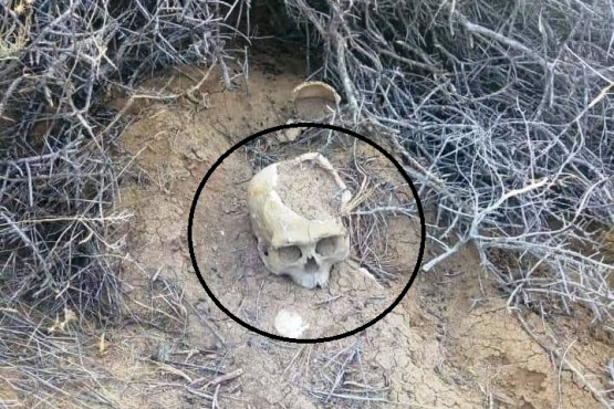 Salieron a correr y encontraron un cráneo humano