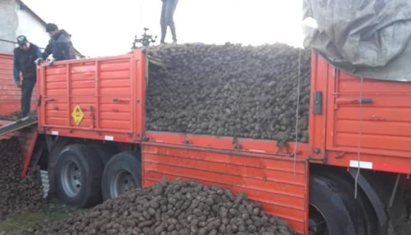 Consejo Pastoral gestionó donación de 30 toneladas de papas